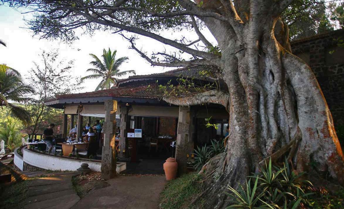 Niraamaya Wellness Retreats, Surya Samudra, Kovalam Kültér fotó
